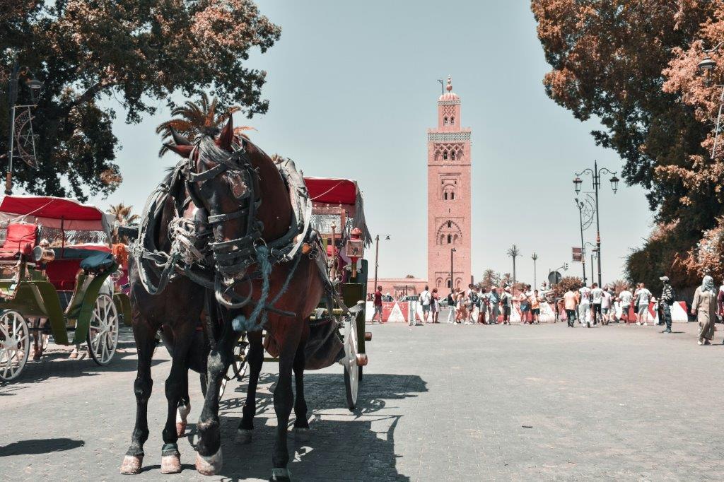 Visitas con carruajes de caballos en Marrakech